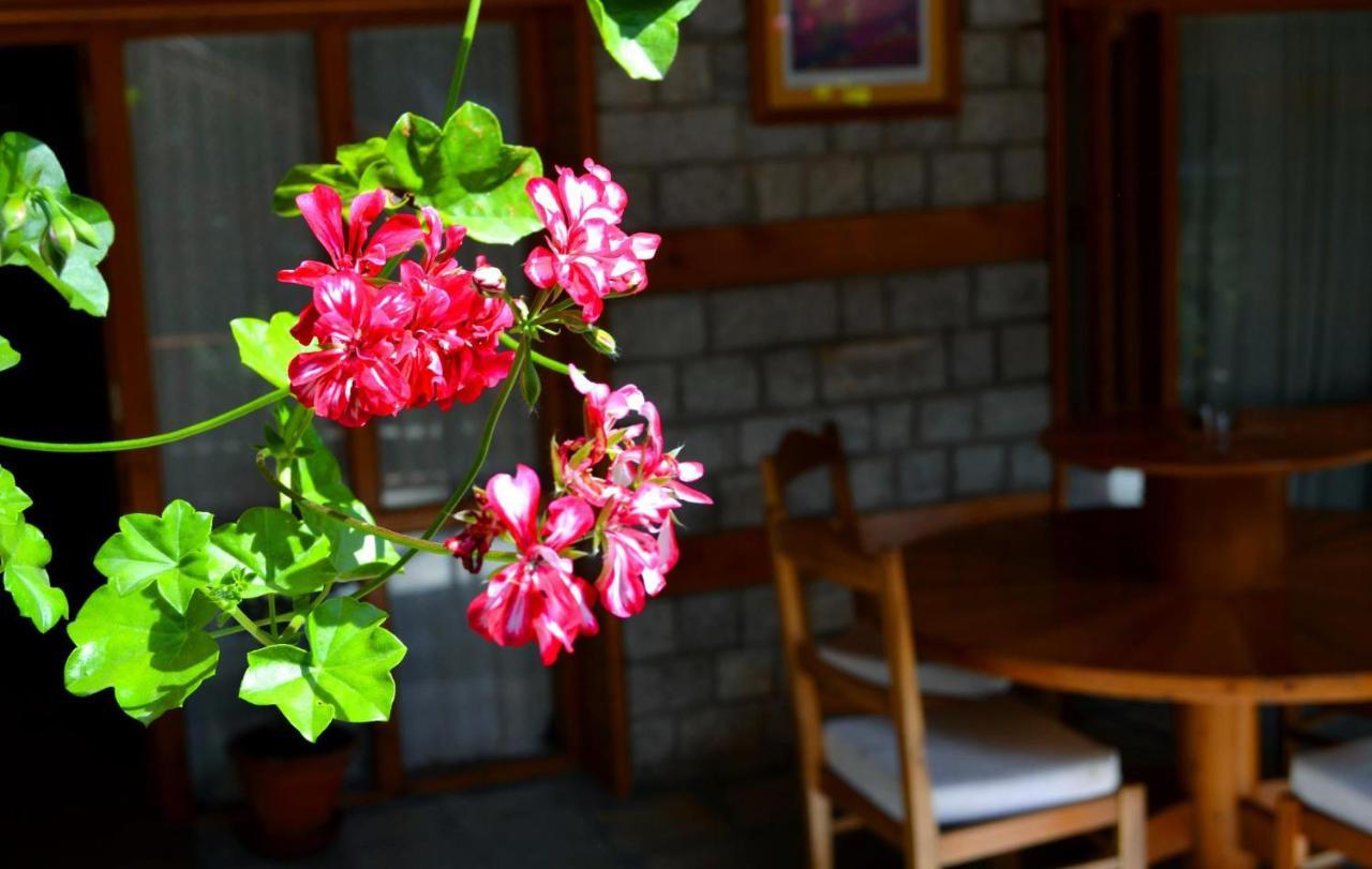 Holiday Home International -Vivaan Stays Manali  Exterior photo
